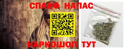 СК Ставрополь